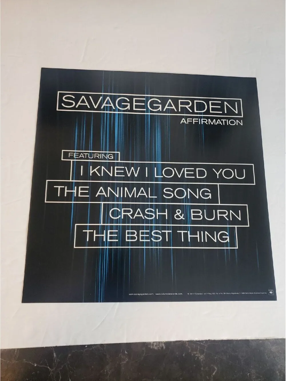 Savage Garden Pop Group Poster Print 99